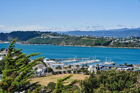 Photo of property in 18 Colville Street, Newtown, Wellington, 6021