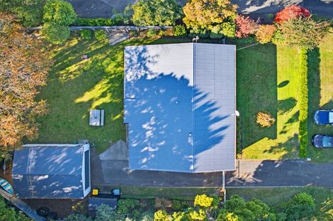 Photo of property in 43 Norfolk Crescent, Feilding, 4702