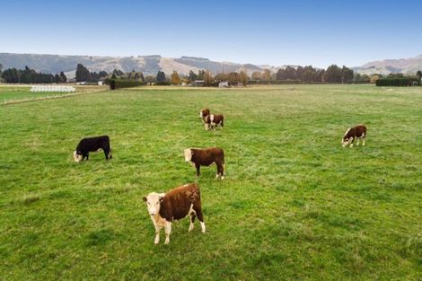 Photo of property in 101 Dukes Road North, Mosgiel, 9092