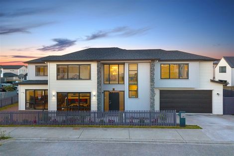 Photo of property in 1 Toanui Road, Hobsonville, Auckland, 0616