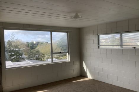 Photo of property in 8 Anzac Parade, Hamilton Central, Hamilton, 3204