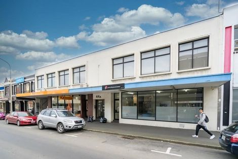 Photo of property in 44a Filleul Street, Dunedin Central, Dunedin, 9016