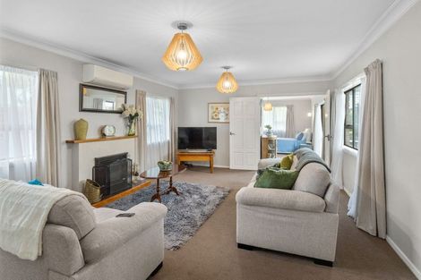 Photo of property in 158 Tiro Tiro Road, Levin, 5510