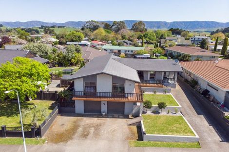 Photo of property in 115 Guy Street, Dannevirke, 4930
