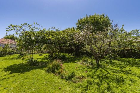 Photo of property in 34 Stanley Street, Levin, 5510