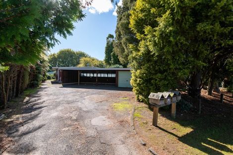 Photo of property in 69 Elizabeth Street, Victoria, Rotorua, 3010