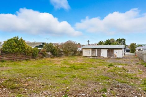 Photo of property in 8 Montgomery Street, Levin, 5510