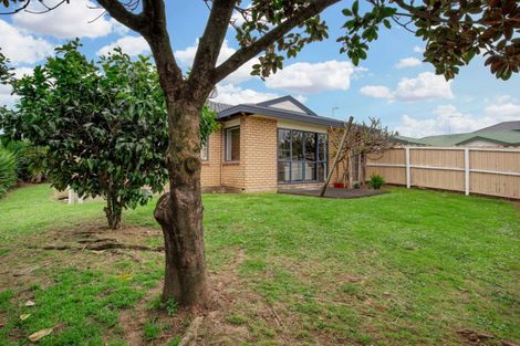 Photo of property in 17 Glenpark Place, Favona, Auckland, 2024