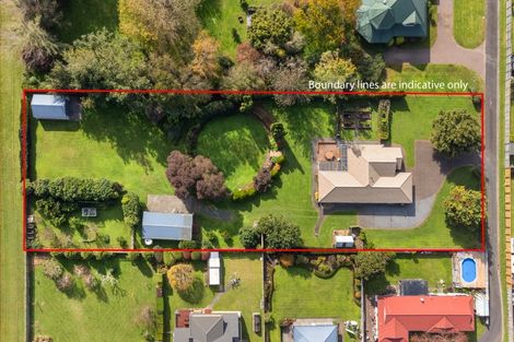 Photo of property in 11 Riverview Lane, Te Aroha, 3320