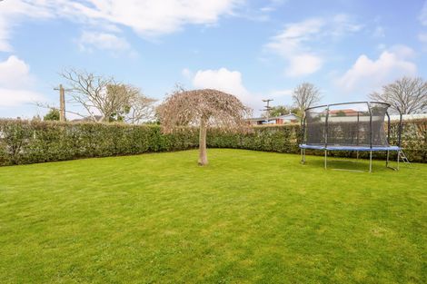Photo of property in 38 Bank Street, Morrinsville, 3300