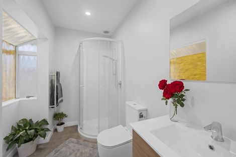 Photo of property in 609 Lumsden Road, Akina, Hastings, 4122