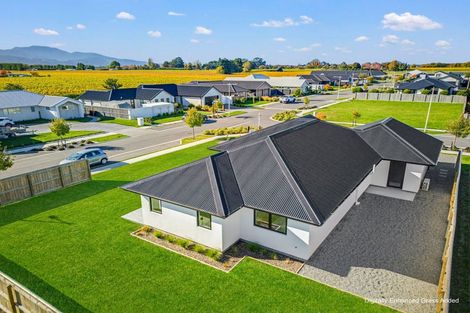 Photo of property in 31 Whitehall Drive, Springlands, 7201