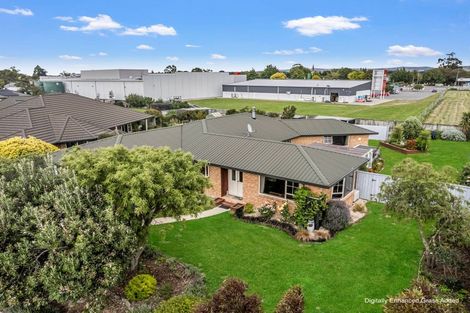 Photo of property in 14 Clifford Place, Amberley, 7410