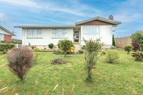 Photo of property in 14 Fergusson Street, Marton, 4710
