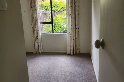 Photo of property in 29 Solway Avenue, Ilam, Christchurch, 8041