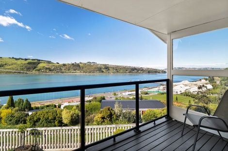 Photo of property in 46 Adderley Terrace, Ravensbourne, Dunedin, 9022