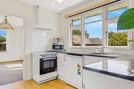 Photo of property in 41a Neville Street, Spreydon, Christchurch, 8024