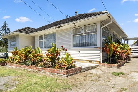 Photo of property in 16 Halswell Street, Mangere East, Auckland, 2024