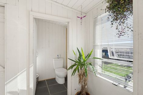 Photo of property in 75 Matapuna Road, Horopito, Raetihi, 4696