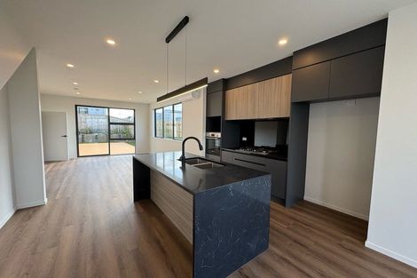 Photo of property in 107 Limestone Drive, Hobsonville, Auckland, 0616