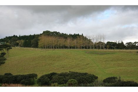 Photo of property in 56e Kaipara Coast Highway, Helensville, 0871