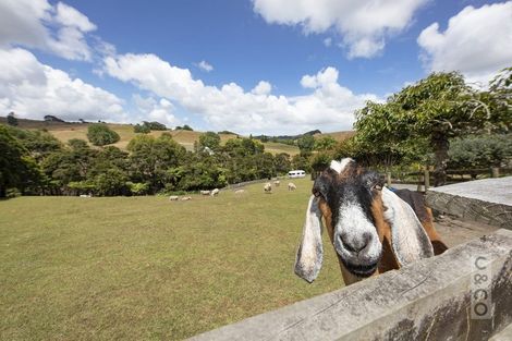 Photo of property in 913 Peak Road, Helensville, 0875