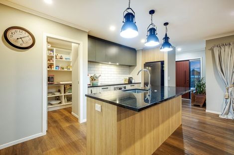 Photo of property in 24 Queen Charlotte Drive, Aotea, Porirua, 5024