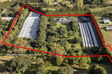 Photo of property in 241 Rea Road, Tahawai, Katikati, 3178