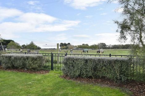 Photo of property in 52 Helmore Street, Rangiora, 7400