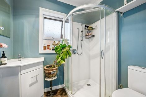 Photo of property in 102 Sidey Street, Calton Hill, Dunedin, 9012