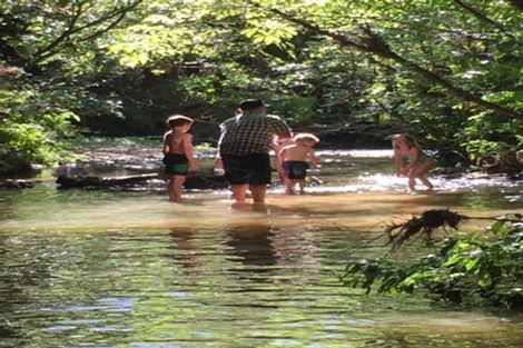 Photo of property in 944 Old Mountain Road, Waitetuna, Raglan, 3295