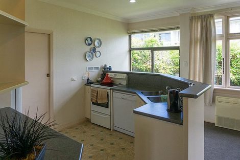 Photo of property in 21 Sheen Street, Roslyn, Dunedin, 9010
