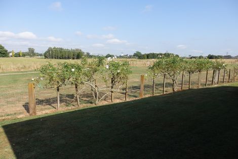 Photo of property in 55a Oaklands Drive, Cambridge, 3434