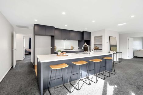 Photo of property in 29 Whitehorn Drive, Lincoln, 7608