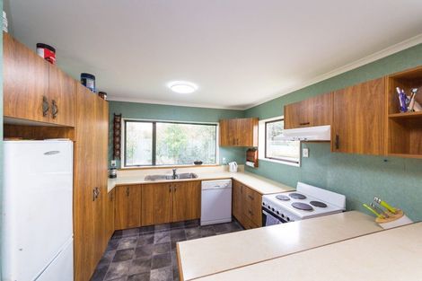 Photo of property in 119a Maxwells Line, Awapuni, Palmerston North, 4412