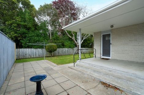 Photo of property in 76 Winchester Street, Levin, 5510