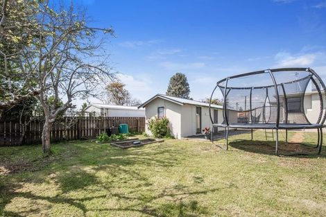 Photo of property in 11 George Street, Levin, 5510