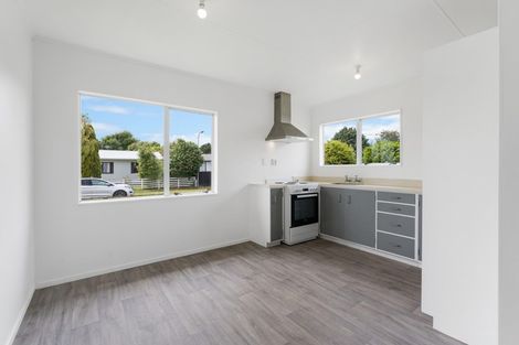 Photo of property in 14 Guy Avenue, Levin, 5510