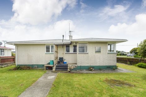 Photo of property in 58 Sherwill Street, Feilding, 4702