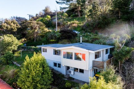 Photo of property in 51 Buccleugh Street, North East Valley, Dunedin, 9010