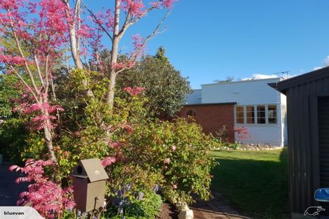 Photo of property in 12 Hosking Place, Masterton, 5810