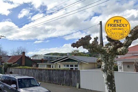 Photo of property in 157 Collingwood Street, Nelson, 7010