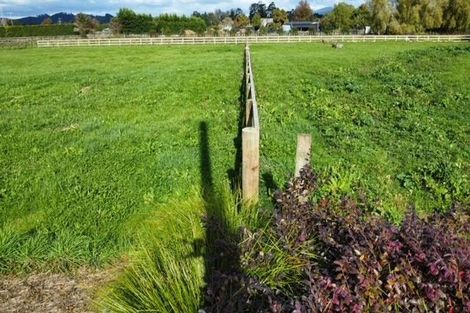 Photo of property in 38 Maungakawa Road, Cambridge, 3496