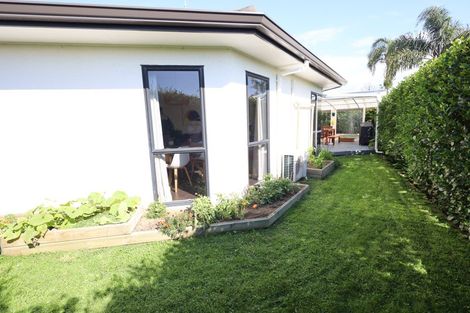 Photo of property in 30b Plateau Heights, Mount Maunganui, 3116