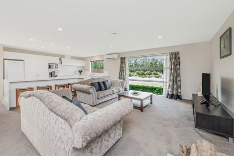 Photo of property in 49 Payne Court, Lincoln, 7608