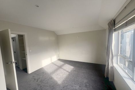 Photo of property in 3ul Papawai Terrace, Mount Cook, Wellington, 6021