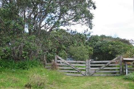 Photo of property in 215 Mangakahia Drive, Whangapoua, Coromandel, 3582