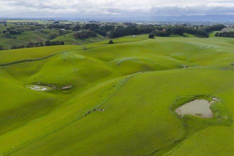 Photo of property in 234 Sandon Road, Feilding, 4779
