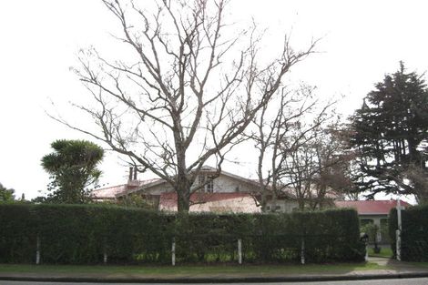 Photo of property in 113 Davis Street, Saint Leonards, Hastings, 4120