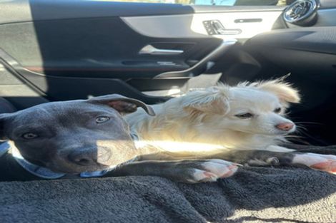 Photo of property in 19 Palm Grove, Belmont, Lower Hutt, 5010